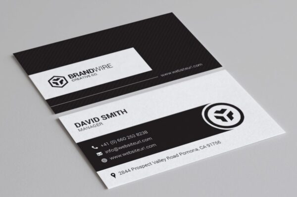 accounting professional name card design 1